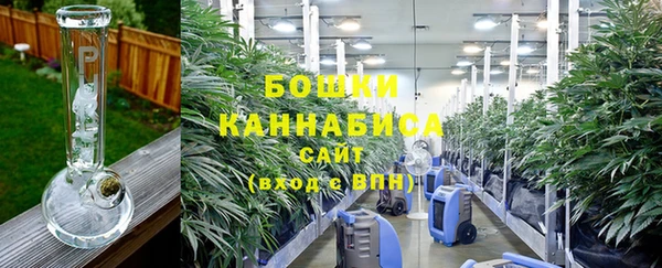 прущие грибы Балахна