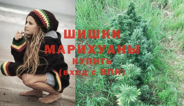 прущие грибы Балахна