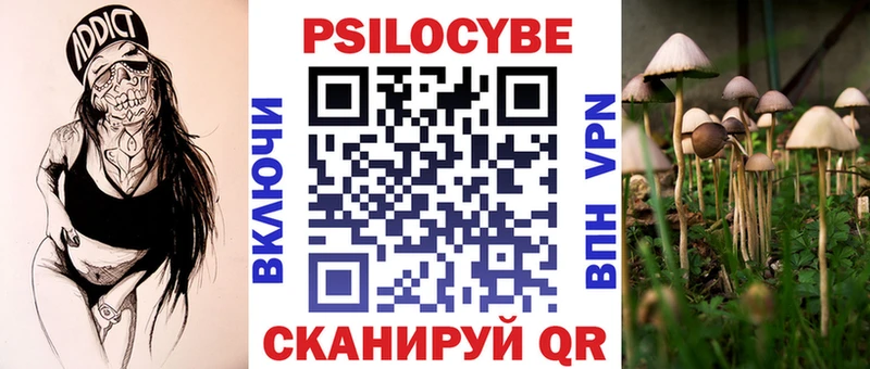 Галлюциногенные грибы GOLDEN TEACHER  купить наркоту  Новотитаровская 